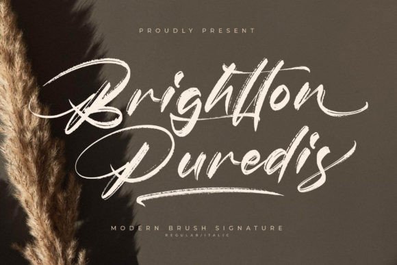 Brightton Puredis: A Handwritten Script Font That Feels Like Home