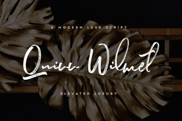 Quinn Wilmet: A Luxurious Script Font for Small Business Branding
